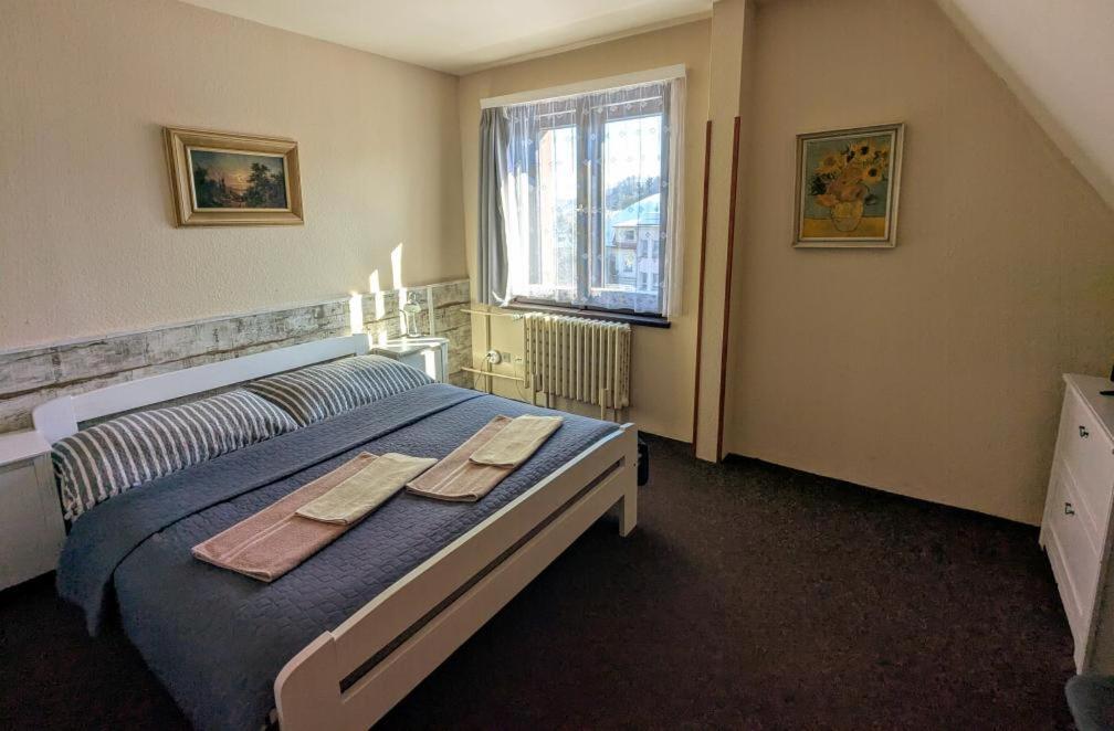 Hotel Alfa Trutnov Buitenkant foto